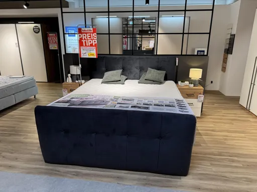 Boxspringbett TRENDSTOTE Hollie